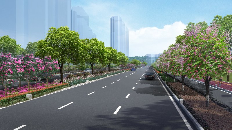 道路绿化